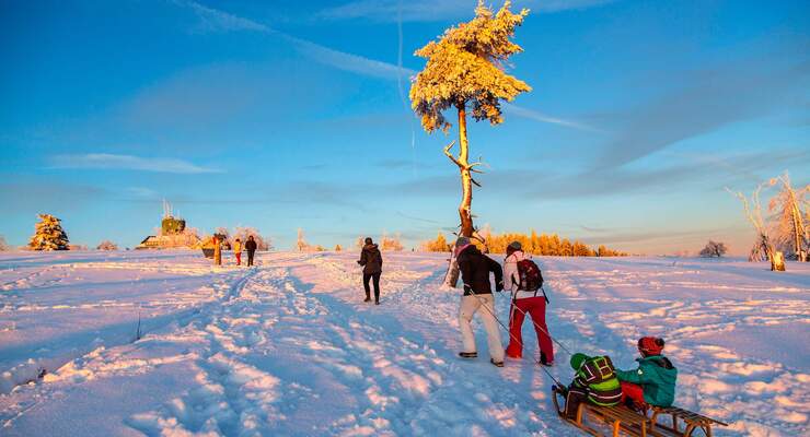Auf meinem Schlitten bin ich Kapitän – die ganze Familie unterwegs im Schnee.