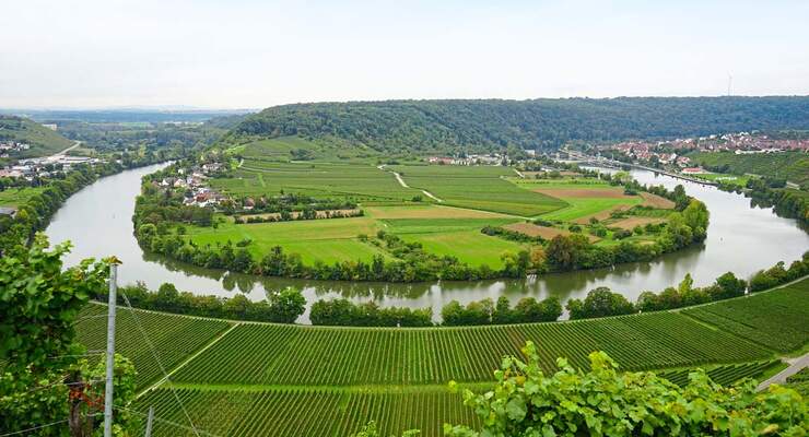 Das Neckartal ist für seine malerische Landschaft und Weine bekannt. Am 5.-7. Mai können Sie sich davon selbst überzeugen.