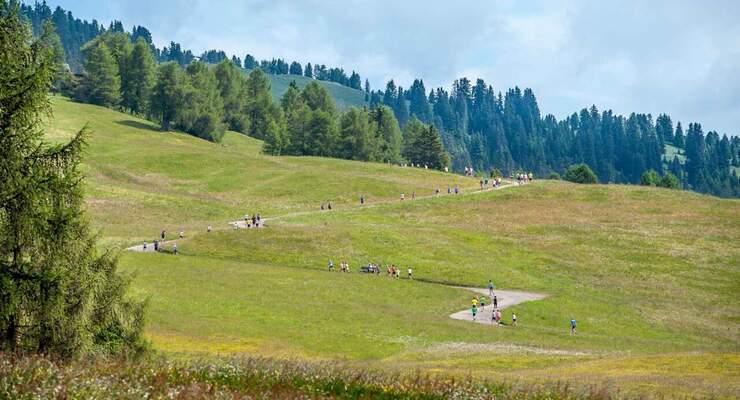 Grüner Halbmarathon Saiser Alm