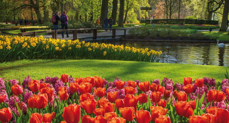 Keukenhof Blumenpark