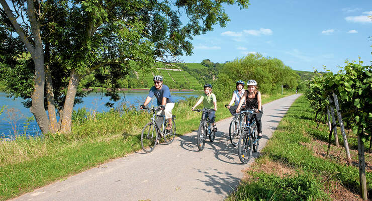 Radweg am Neckar