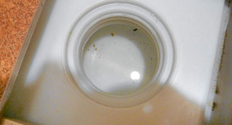 Reinigen des Tanks ist noetig fuer gute Wasserqualitaet.