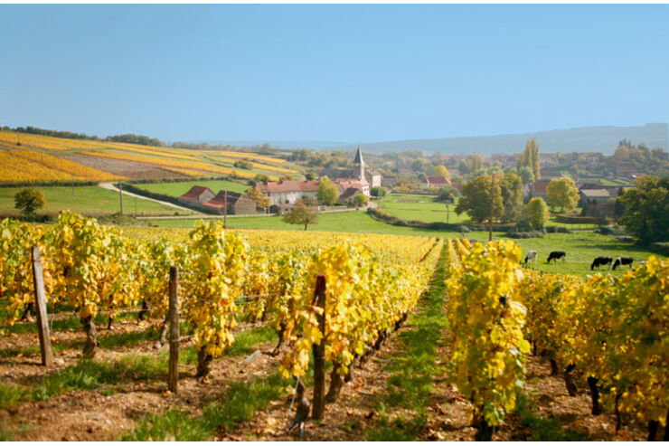 WohnmobilTour Burgund Die Küche der Bourgogne (Seite 4