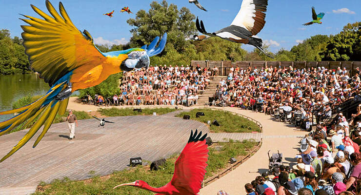 Vogelpark Frankreich