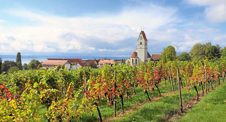 Wohnmobil-Tipp: Hagnau am Bodensee